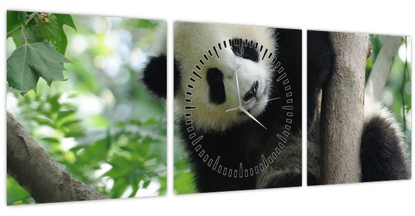 Tablou - Panda in copac (cu ceas) (90x30 cm)