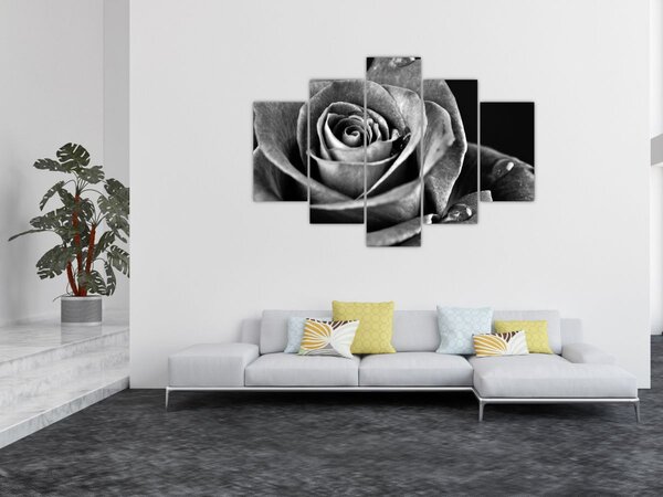 Tablou - Trandafir,alb-negru (150x105 cm)