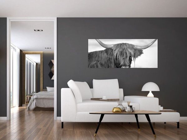 Tablou - Vacă scoțiană 2,alb-negru (120x50 cm)