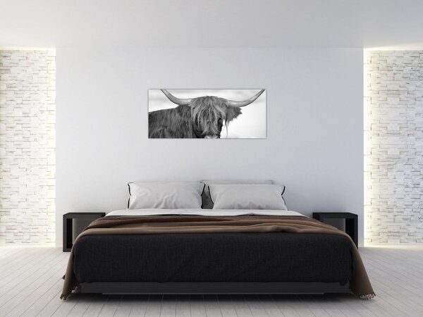 Tablou - Vacă scoțiană 2,alb-negru (120x50 cm)