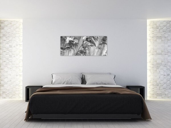 Tablou - Tei,alb-negru (120x50 cm)