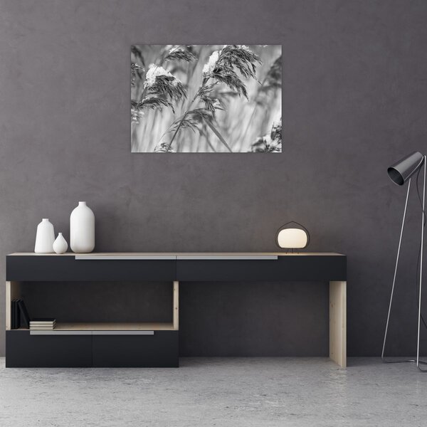 Tablou - Tei,alb-negru (70x50 cm)