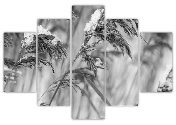 Tablou - Tei,alb-negru (150x105 cm)