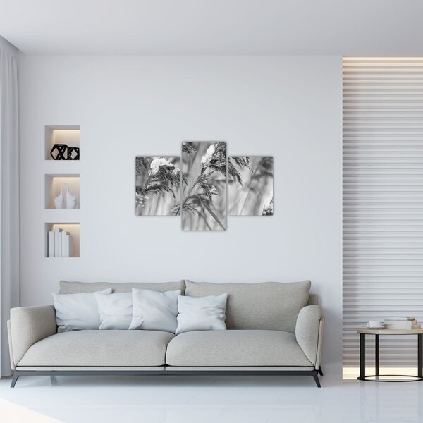 Tablou - Tei,alb-negru (90x60 cm)