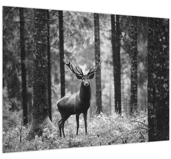 Tablou - Căprioare in pădure 2,alb-negru (70x50 cm)
