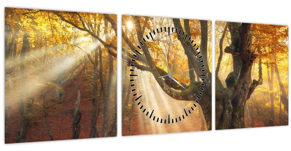 Tablou - Lumina de toamnă (cu ceas) (90x30 cm)