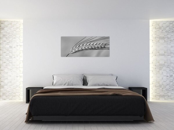 Tablou - Grâu,alb-negru (120x50 cm)