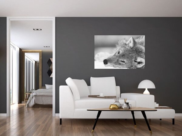 Tablou - Lup,alb-negru (90x60 cm)