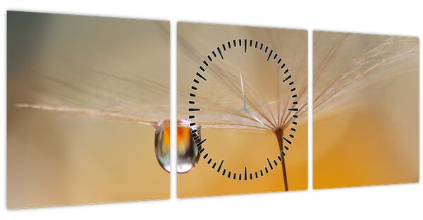 Tablou - Flori macro (cu ceas) (90x30 cm)