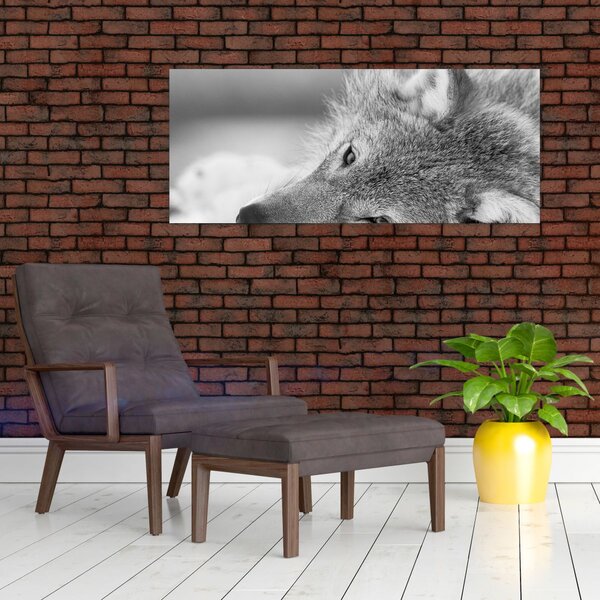 Tablou - Lup,alb-negru (120x50 cm)