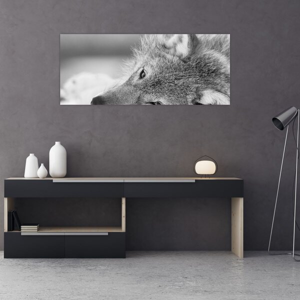 Tablou - Lup,alb-negru (120x50 cm)