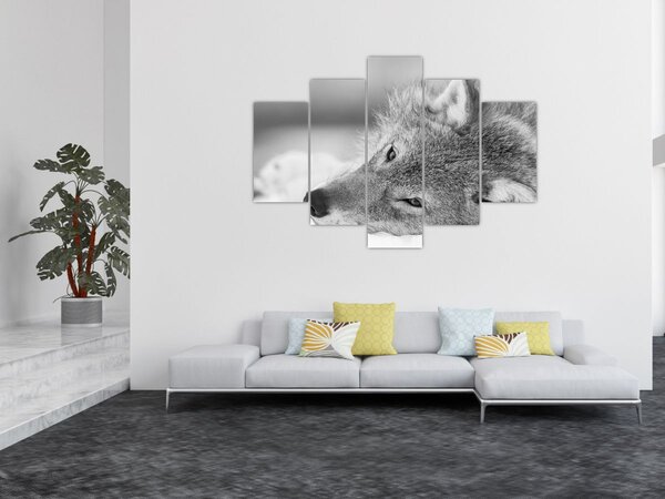 Tablou - Lup,alb-negru (150x105 cm)