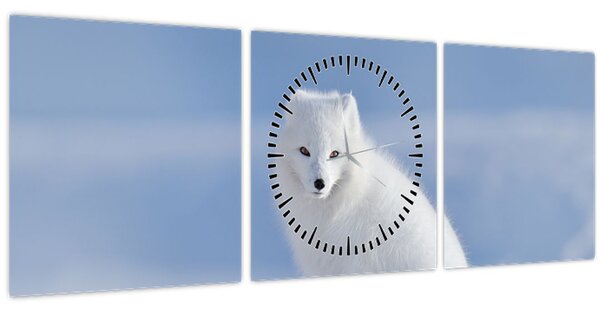 Tablou - Vulpe polară (cu ceas) (90x30 cm)