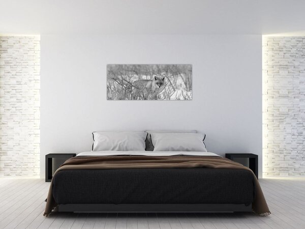 Tablou - Vulpe,alb-negru (120x50 cm)