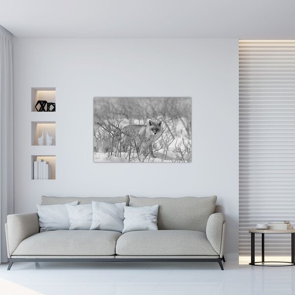 Tablou - Vulpe,alb-negru (90x60 cm)