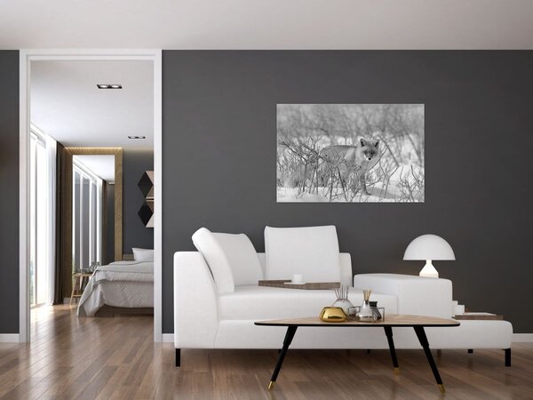 Tablou - Vulpe,alb-negru (90x60 cm)