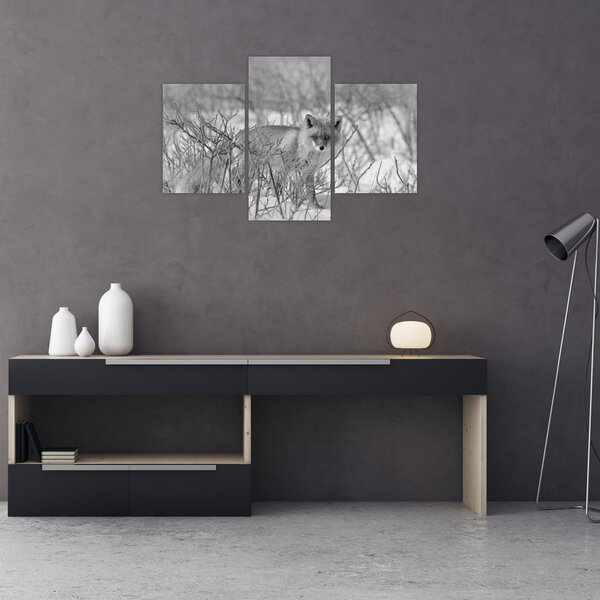 Tablou - Vulpe,alb-negru (90x60 cm)