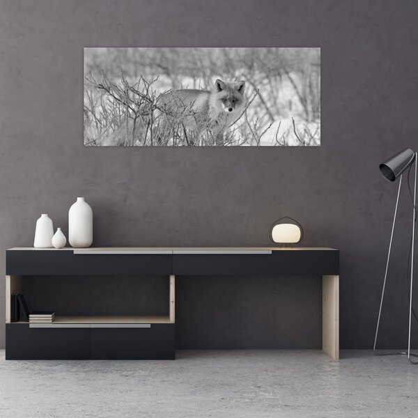 Tablou - Vulpe,alb-negru (120x50 cm)