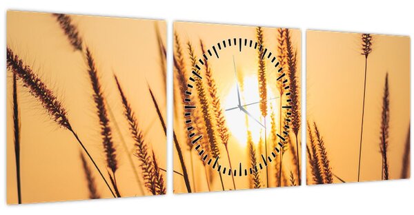 Tablou - Iarbă la soare (cu ceas) (90x30 cm)
