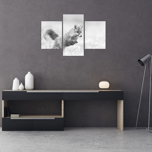 Tablou - Vulpe care sare,alb-negru (90x60 cm)