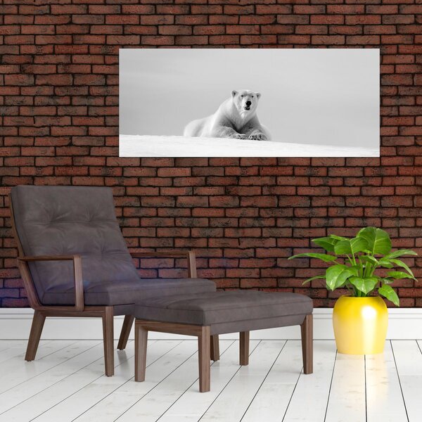 Tablou - Urs polar,alb-negru (120x50 cm)