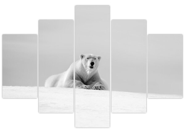 Tablou - Urs polar,alb-negru (150x105 cm)