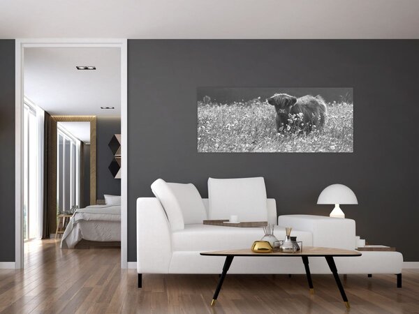 Tablou - Vacă scoțiană 5,alb-negru (120x50 cm)