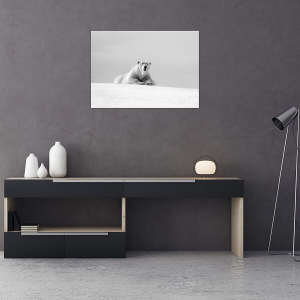 Tablou - Urs polar,alb-negru (70x50 cm)