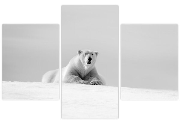 Tablou - Urs polar,alb-negru (90x60 cm)