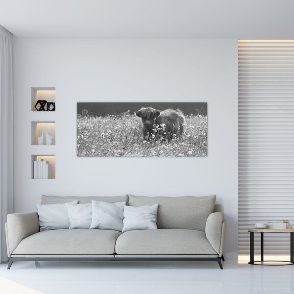 Tablou - Vacă scoțiană 5,alb-negru (120x50 cm)