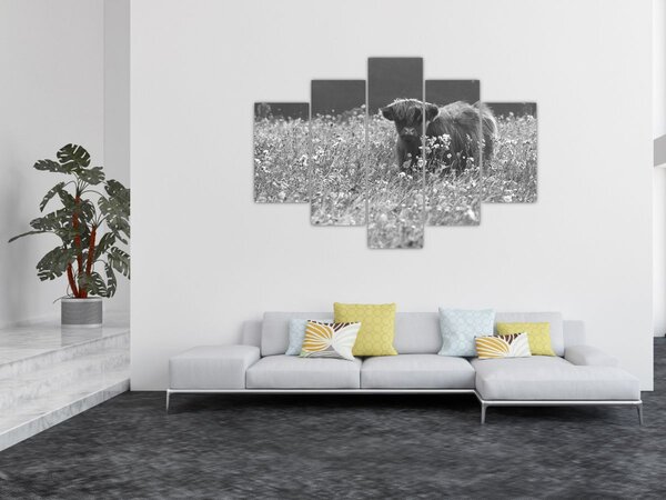 Tablou - Vacă scoțiană 5,alb-negru (150x105 cm)