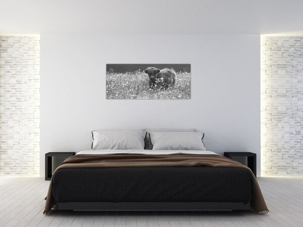 Tablou - Vacă scoțiană 5,alb-negru (120x50 cm)