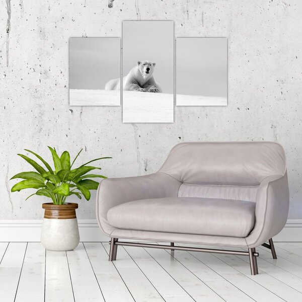 Tablou - Urs polar,alb-negru (90x60 cm)
