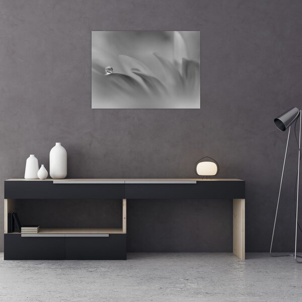 Tablou - Picătură pe floare,alb-negru (70x50 cm)