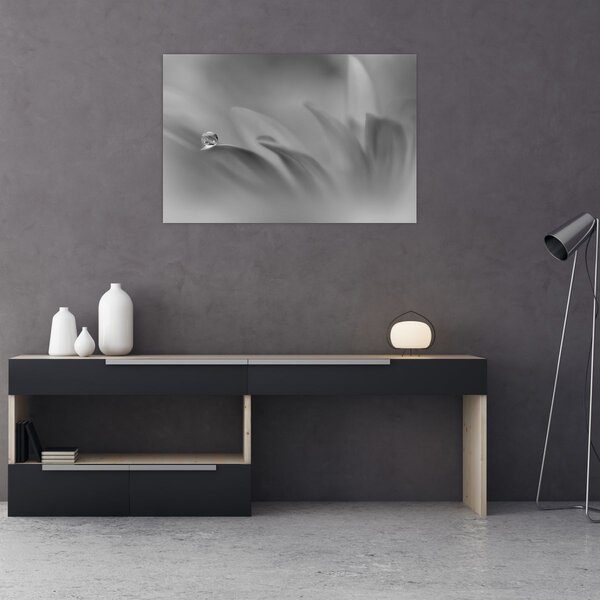 Tablou - Picătură pe floare,alb-negru (90x60 cm)