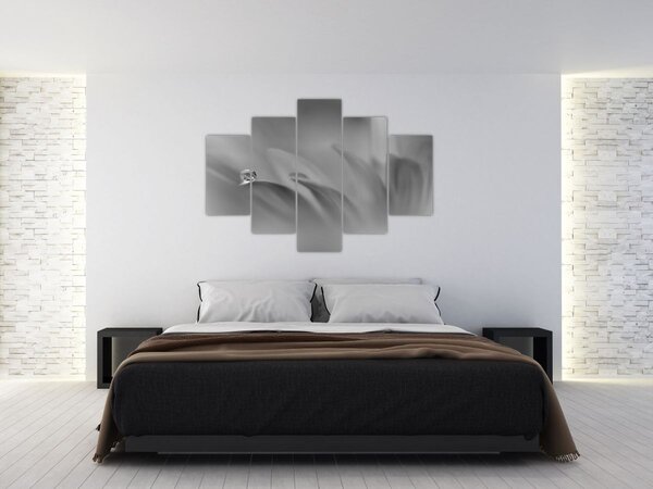 Tablou - Picătură pe floare,alb-negru (150x105 cm)
