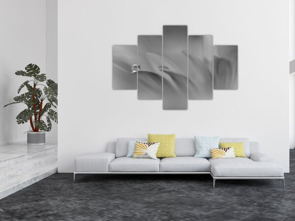 Tablou - Picătură pe floare,alb-negru (150x105 cm)