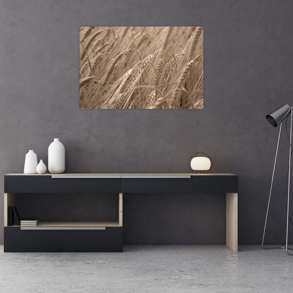 Tablou - Câmpul de aur (90x60 cm)