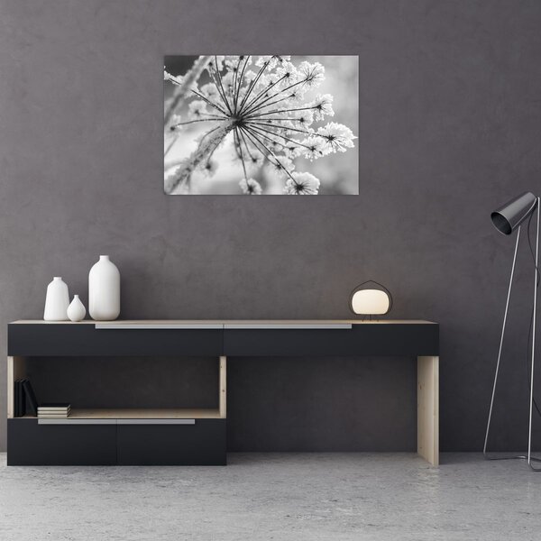 Tablou - Floare în timpul iernii (70x50 cm)