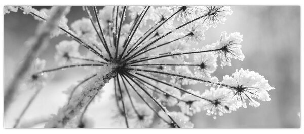 Tablou - Floare în timpul iernii (120x50 cm)