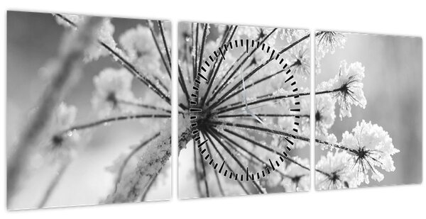 Tablou - Floare în timpul iernii (cu ceas) (90x30 cm)