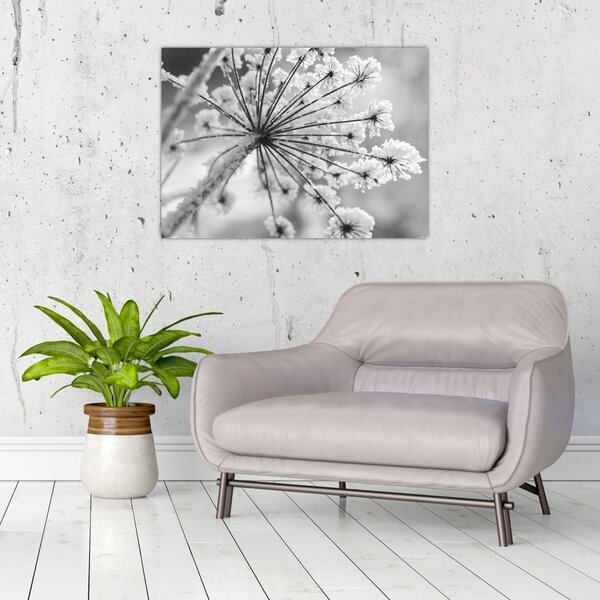 Tablou - Floare în timpul iernii (70x50 cm)