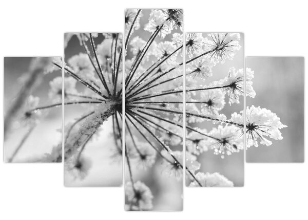 Tablou - Floare în timpul iernii (150x105 cm)
