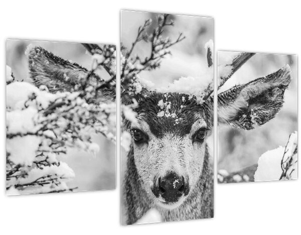 Tablou - Cerb în timpul iernii (90x60 cm)