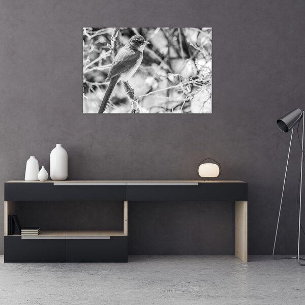 Tablou - Bluebird în timpul iernii (90x60 cm)