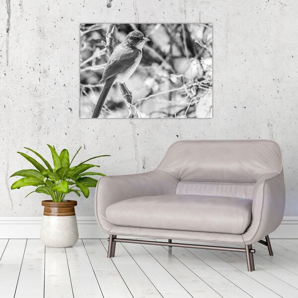 Tablou - Bluebird în timpul iernii (70x50 cm)