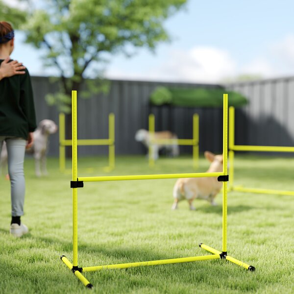 PawHut set din 4 obstacole pentru caini reglabile pe inaltime, 99x71x95, albastru | Aosom Romania
