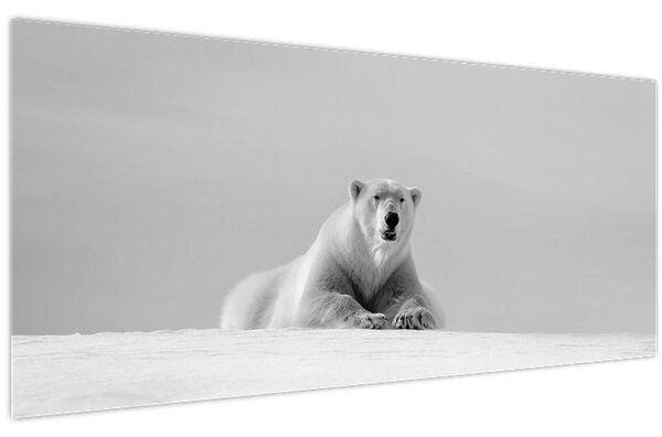 Tablou - Ursul polar (120x50 cm)