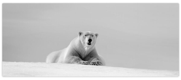 Tablou - Ursul polar (120x50 cm)