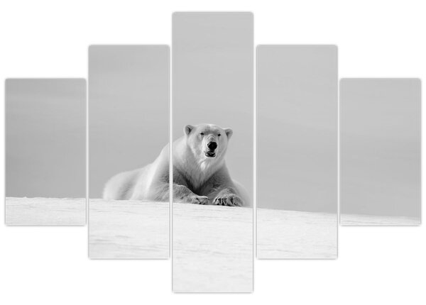 Tablou - Ursul polar (150x105 cm)